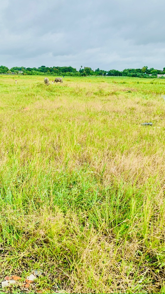 Bán lỗ vốn 175m2 (118 Thổ cư) còn lại quy hoạch mở đường lớn hơn 20m => giá thương lượng