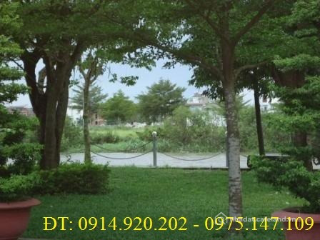 Bán đất mặt tiền Đỗ Xuân Hợp – Đối diện Global City, XD 6 tầng, Phước Long B Q9