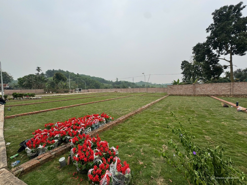 Bán Đất 80m2 full thổ cư 295 triệu Xã Hợp Thanh Hòa Bình - sát Hà Nội