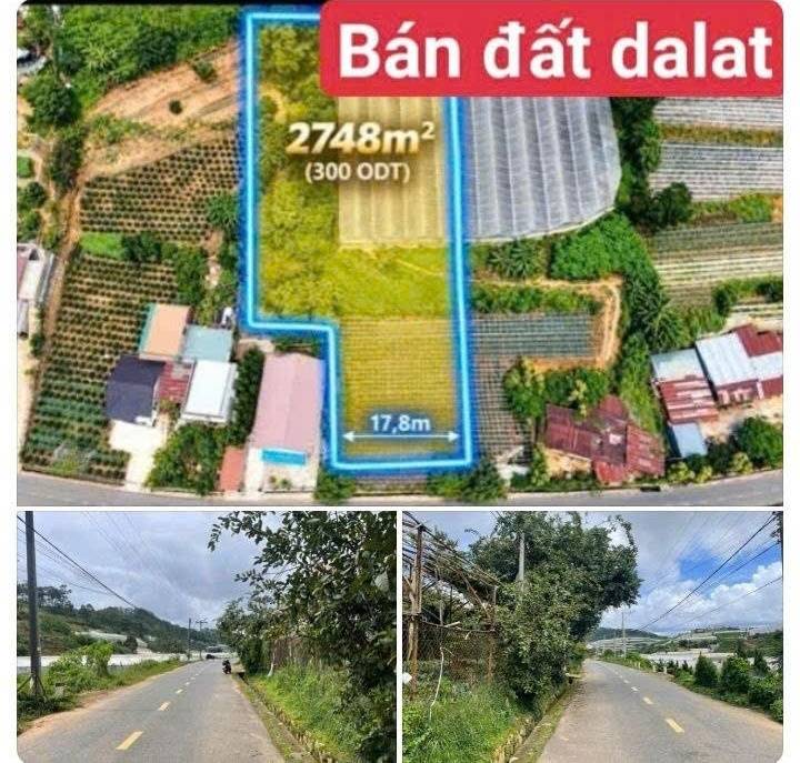 Chuyển nhượng đất mặt tiền Đa Phú, Đà Lạt