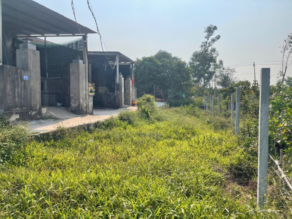 Bán đất 100m² Kiệt 124 Tôn Thất Sơn – Thuận tiện sinh hoạt, khu dân cư ổn định