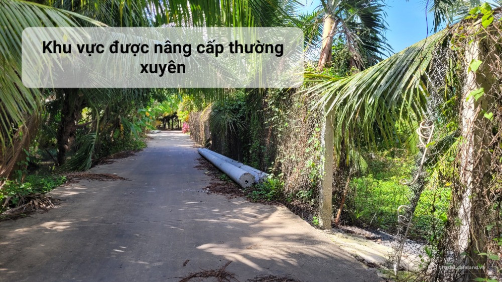 Chính chủ Bán đất, đường N3 Khu Đô thị Đông Bắc Mỹ Hưng, Mỹ Phong, Đồng Tháp TG)