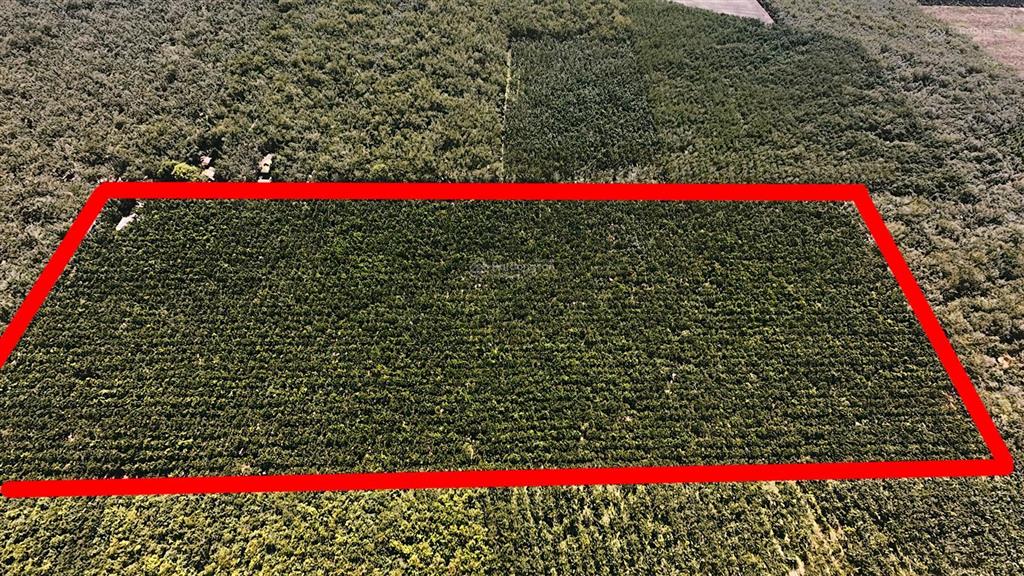 Bán 10ha đất suối ngô, tây ninh pháp lý skc, 1,6km mặt tiền đường nhựa lớn