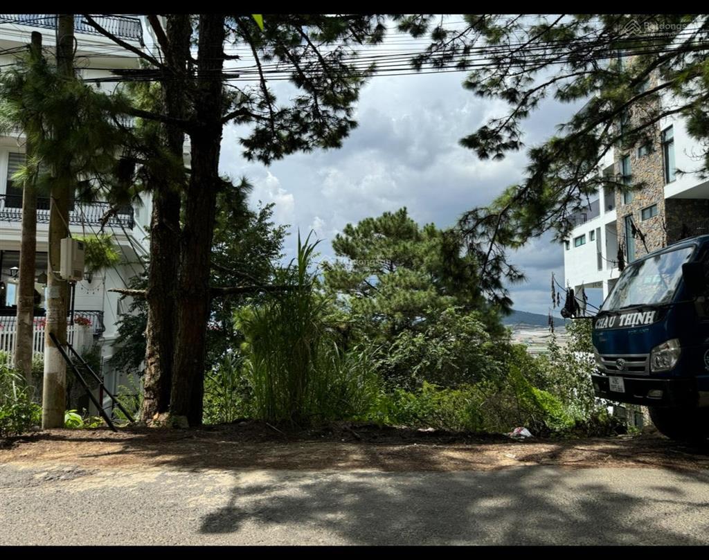 Đất view thông đẹp vĩnh viễn, 19,3m mặt tiền trịnh hoài đức, tp đà lạt. dt 1.488m2. giá 75 tỷ