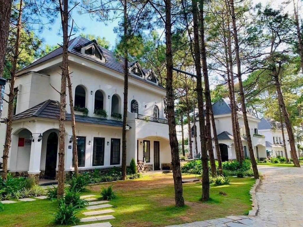 Chủ nhà cần tiền gửi bán em căn bt song lập 225m2, giai đoạn 2 phân khu valley park, view yên tĩnh