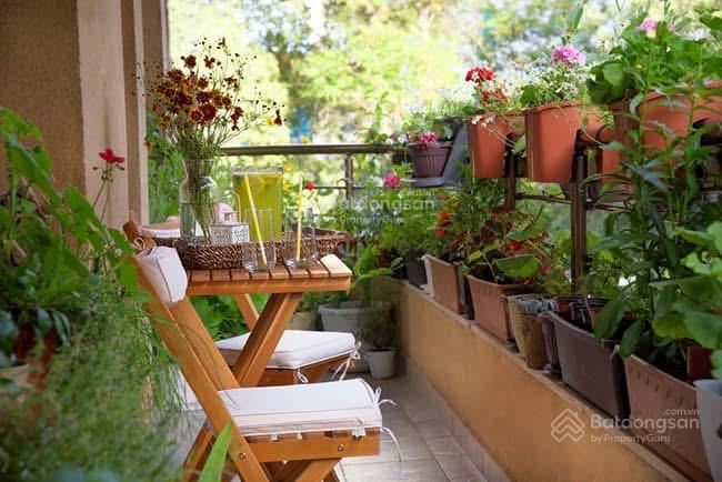 Tôi cần tiền gấp nên cần bán nhanh căn thủ thiêm star 2pn 2wc giá 4,290tỷ