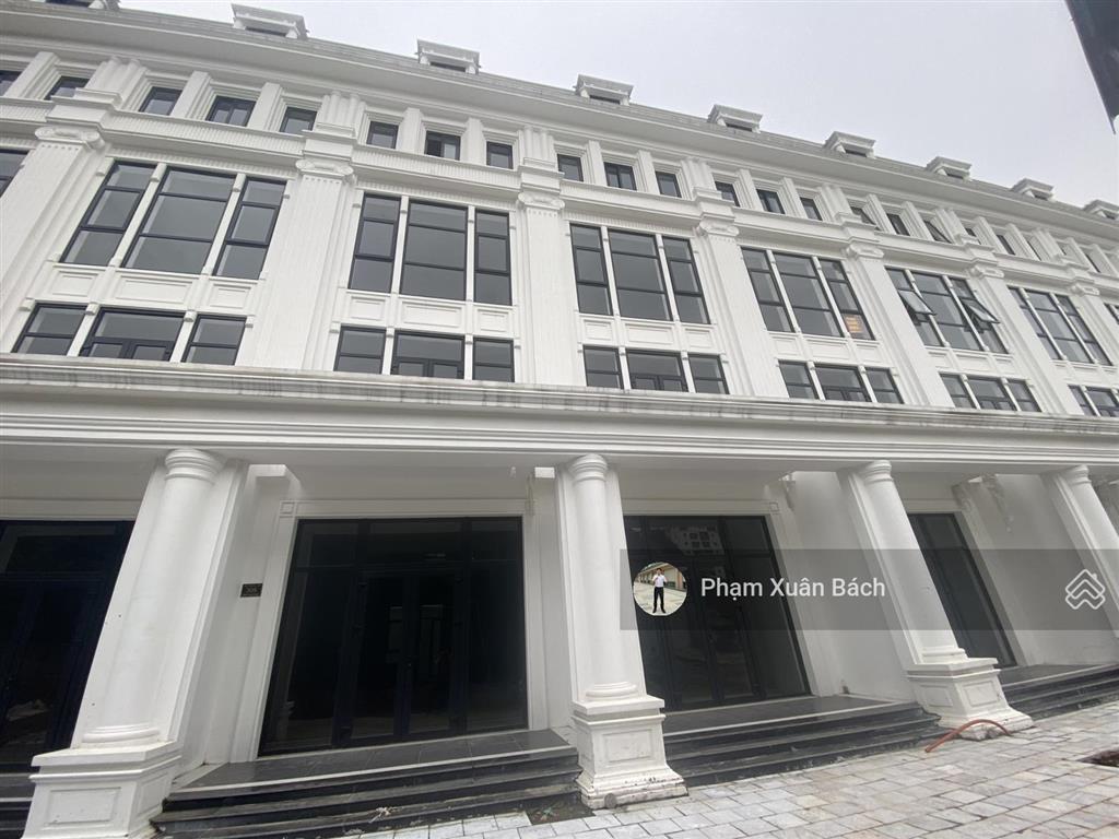 230tr/m2 cần tiền bán gấp căn louis 3, dt 95m2, hướng nam, đường 13,5m tại louis city hoàng mai