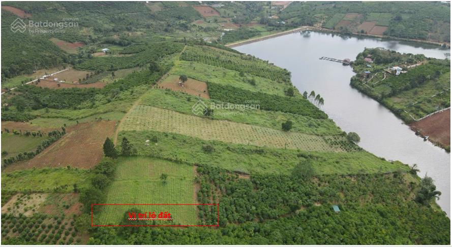 1032,7m2 đất vuông vức, view trực diện hồ thôn 3 lộc tân, bảo lâm