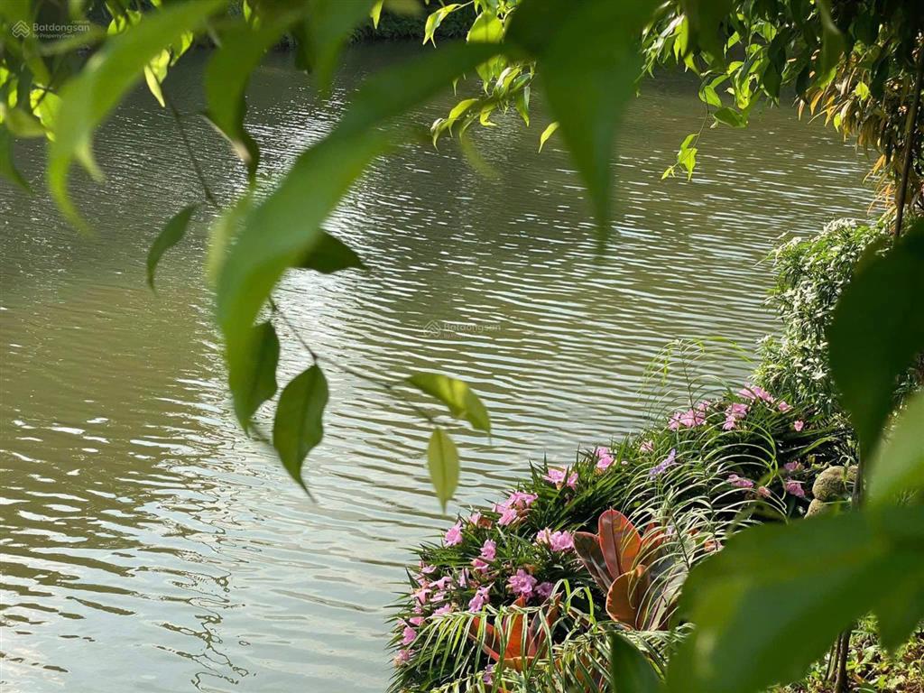 Bán bt hoa lan 1 đối diện almaz, gần công viên. 251m2. mặt tiền 11m, trung tâm chính kdt riverside
