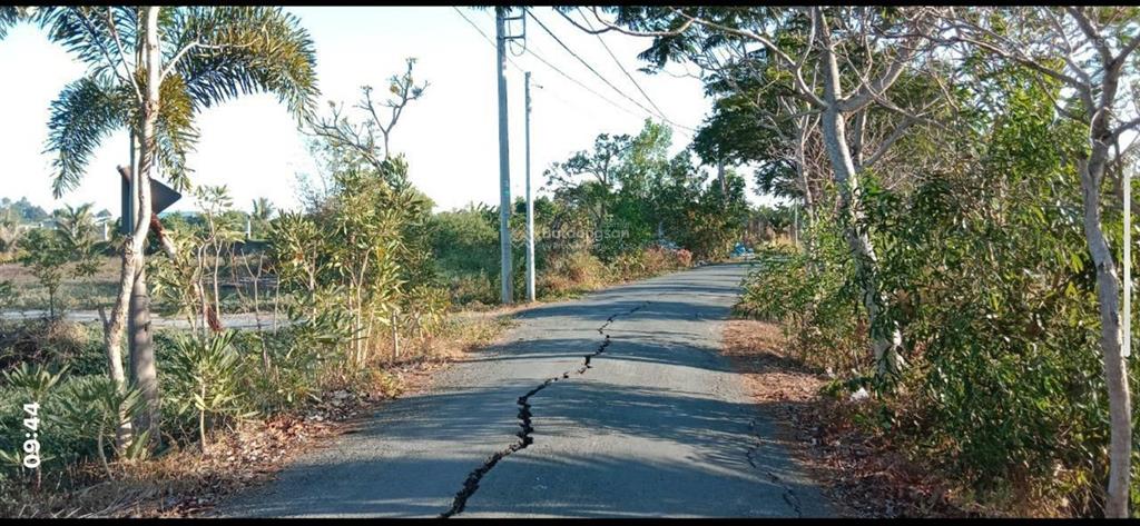 Chính chủ cần bán lô đất trồng cây hàng năm xã hưng long, bình chánh. giá 6.5 tỷ