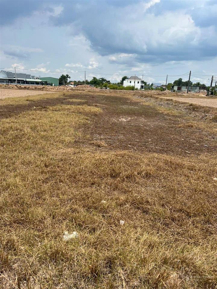 Bán đất 1 sẹc 823d, gần vành đai 3 hcm, dt lớn, view thoáng, 1647m2 lúa có 300m thổ, đường thông 4m