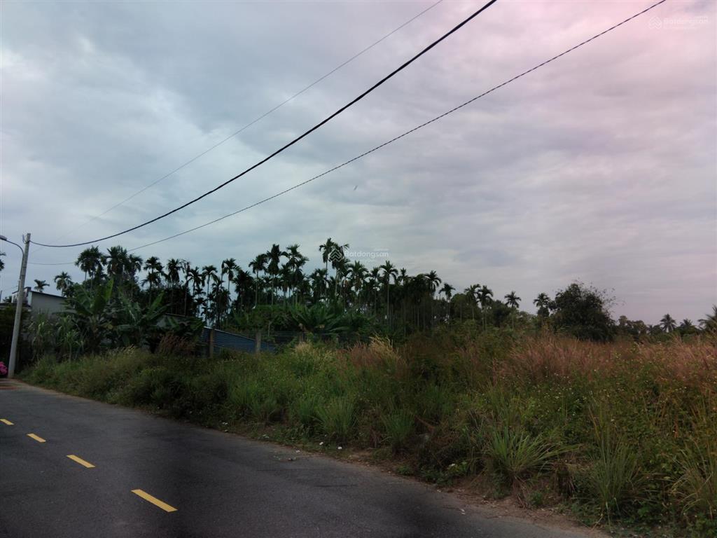 Đất dự án 145 tỉ 4600m2 thổ cư mặt tiền đường nhựa khu dân cư hiện hữu.