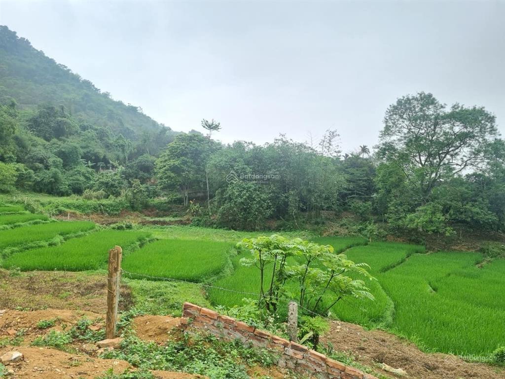 View đỉnh cao ruộng bậc thang tây bắc cách hn 40km 8 tỷ, 989m2 400m2 thổ cư, 0974 715 ***
