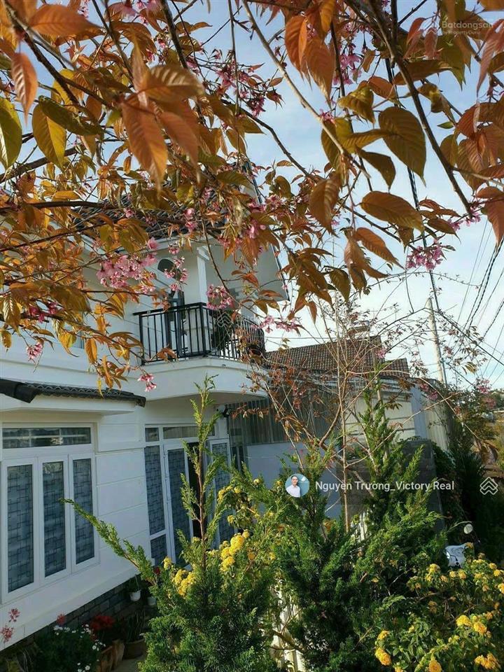Villa 200m2, 2 mặt tiền view thành phố, giá chỉ 9.5 tỷ