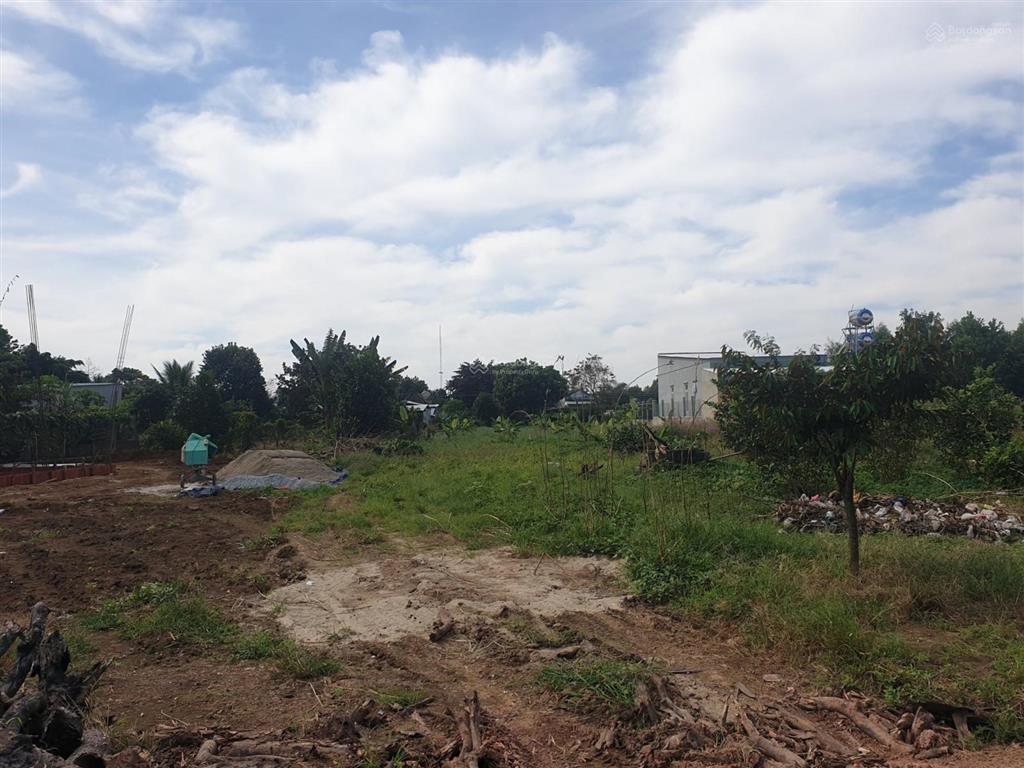Cần bán gấp mảnh vườn ngang 20x52m hơn 1000m2 bán 210 triệu bao sổ ngay trường học, ủy ban