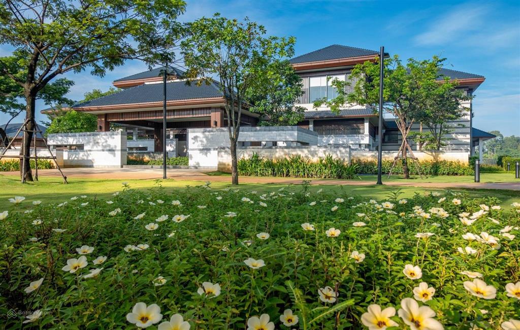 Giá thật! không đăng ảo! rổ hàng chuyển nhượng nhà phố biệt thự swan bay cập nhật mới t06/2025