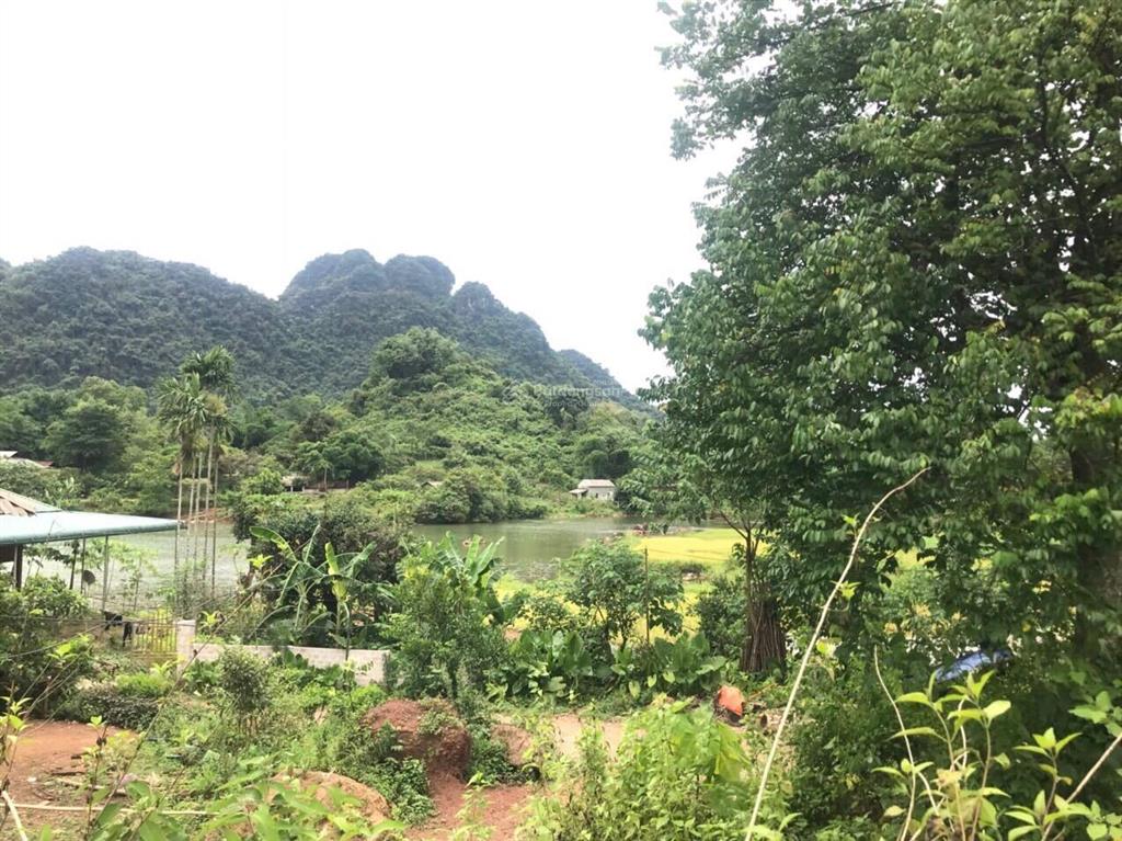 Chính chủ bán lô đất 600m2 view hồ tân lạc, giá không qua trung gian chỉ có 399tr