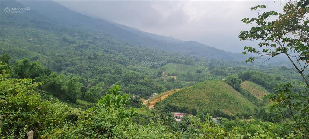 Bán 234ha đất rừng sx tại thị trấn bo, kim bôi, hòa bình