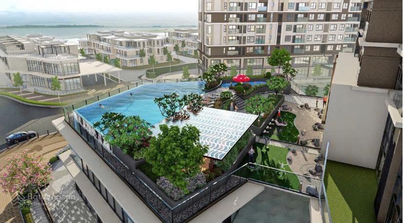 Cập nhật mizuki (8/2026) căn 59,25m² chỉ 4,2 tỷ (giá full thuế phí), sổ hồng vĩnh viễn, view đẹp