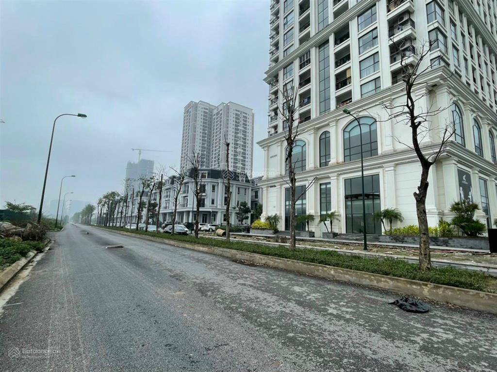 Bán biệt thự sunshine riverside ciputra 150m² mặt đường 30m kinh doanh & ở đỉnh