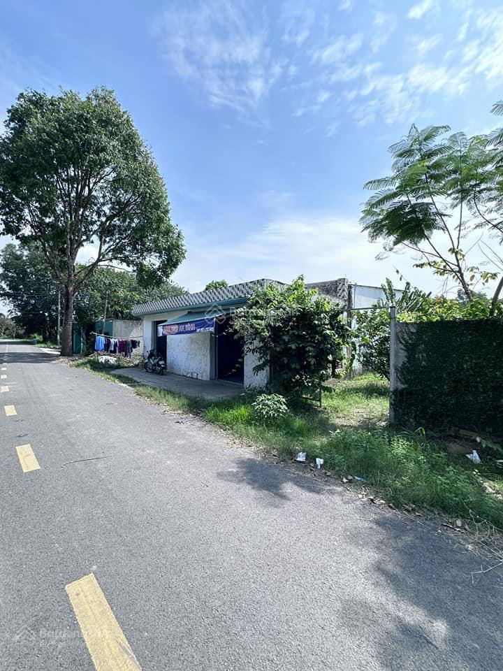 Hàng đẹp xuất hiện ngay 241,5m2 thổ cư 100% nở hậu vuông vắn 5x49m, quy hoạch kdc hiện hữu