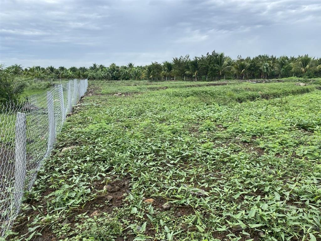 Đất diện tích lớn p long khánh (tổng cộng 4.300m2), giá bán bằng lô đất nền