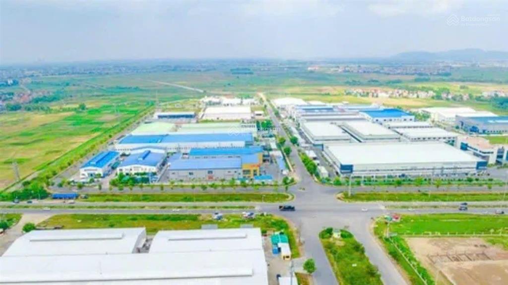 Cần bán 5.000m2 đất làm kho nhà xưởng cụm cn đại hiệp, quảng nam