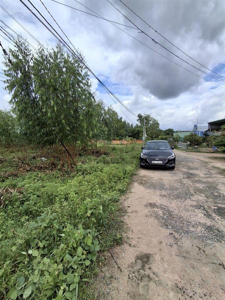 Chính chủ cần bán 10 000 m2 đất sát ql55 tại xã tân xuân, huyện hàm tân (63 *135m) nở hậu