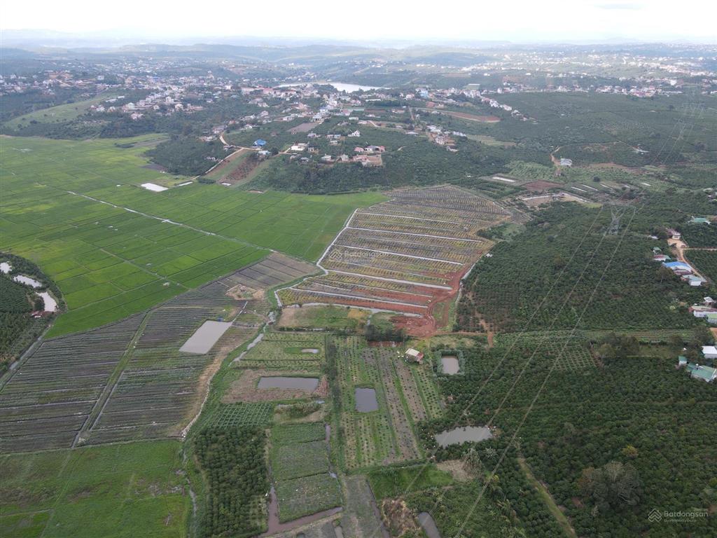 Đất đẹp 1625m² trung tâm thị trấn di linh, cách công an huyện 2km, nở hậu tài lộc