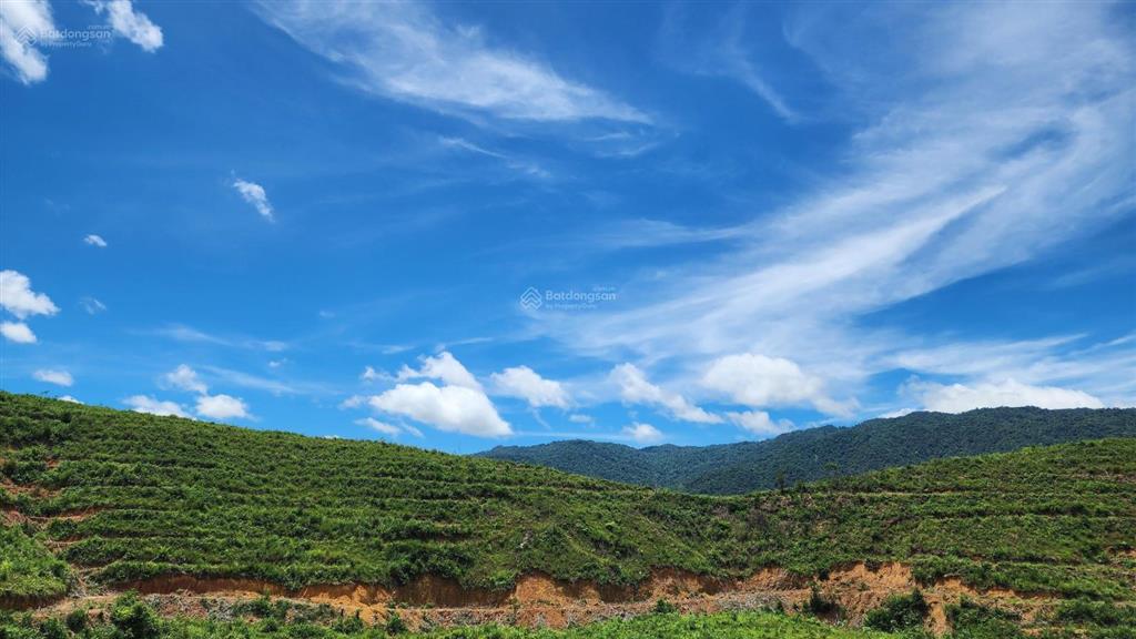 Chào bán lô đất rộng 36.887,3m2 tại xã ba đồi chè đông giang. nay là xã sông vàng thành phố đà nẵng