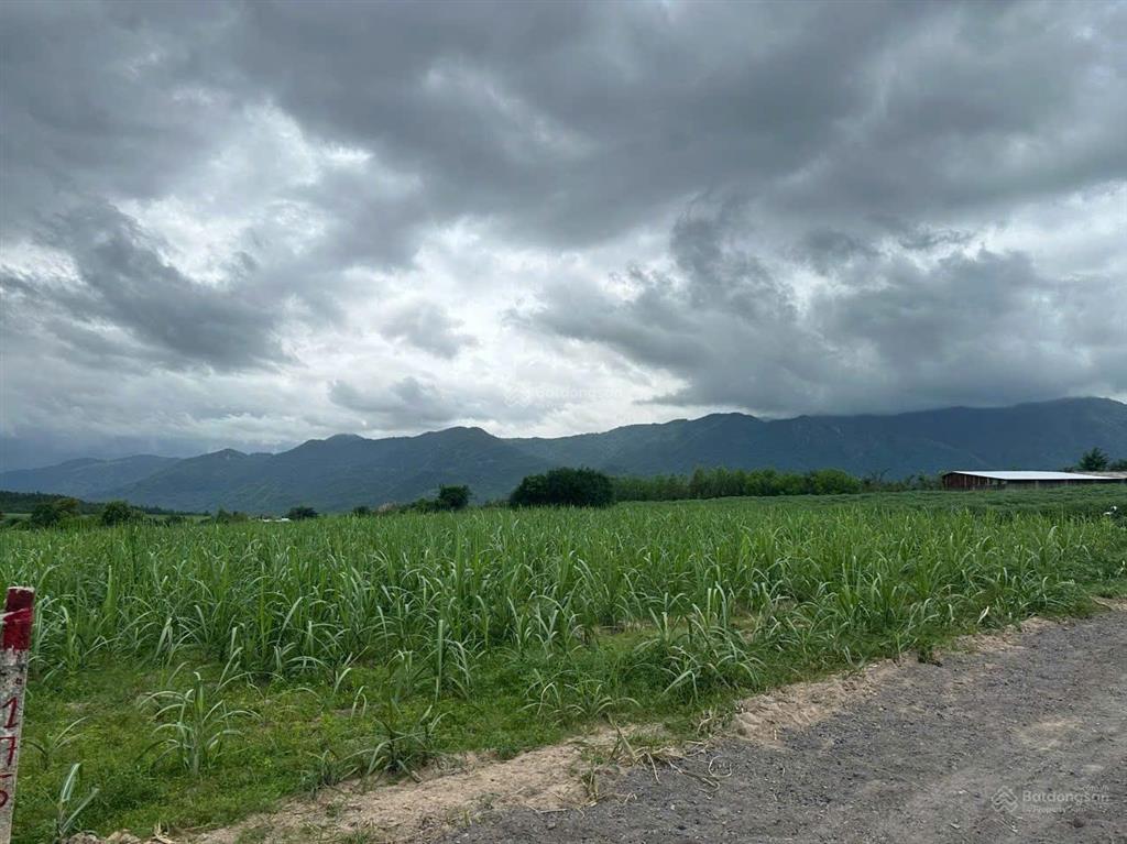 Bán đất xã tây ninh hòa (ninh tây) gần hồ suối sim dt 3.586m2. giá 4.3 tỷ