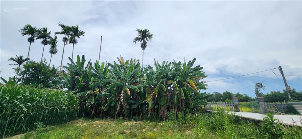 Bán lô đất vuông đẹp 354m2, mặt tiền rộng 12m view sông, đường ôtô cách phố cổ hội an chỉ 10' đi xe