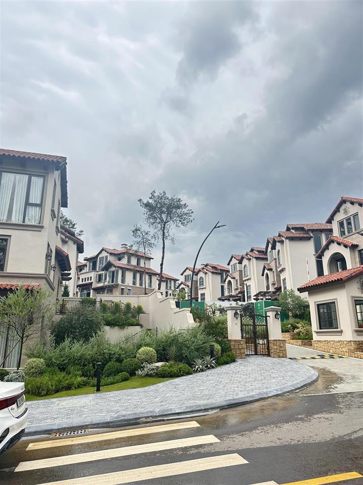 Cần nhượng căn bt song lập 245,15m đợt 1, giá rẻ hơn cđt 2 tỷ, hướng đông nam view rừng thông