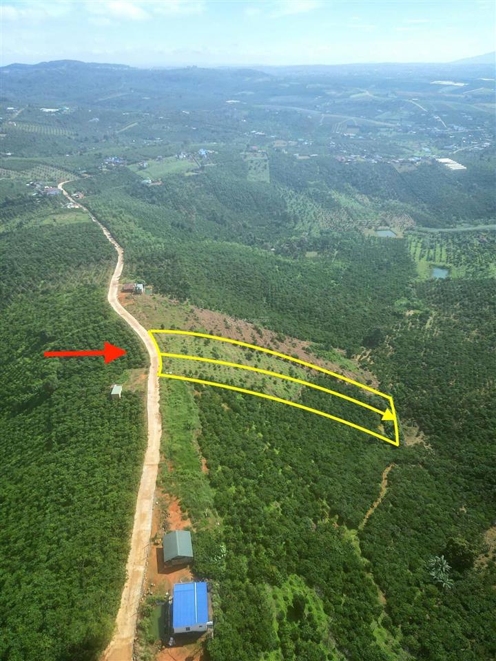 Đất 2500m2. dân cư điện nước đầy đủ xe hơi vào tận nơi