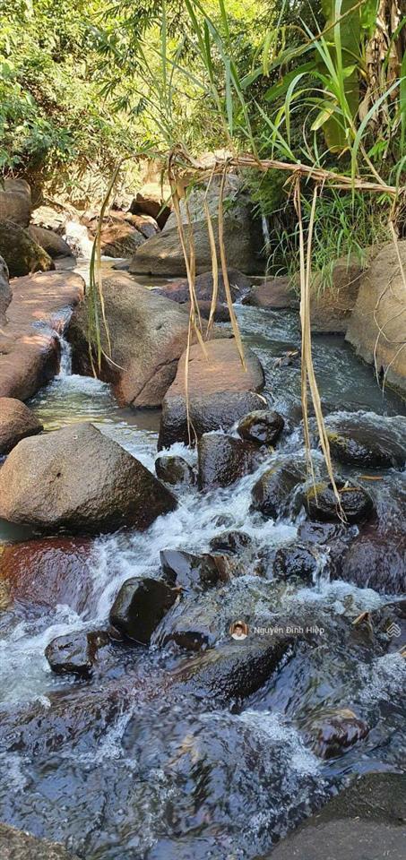Bán đất view suối 4,4 ha giá 600 triệu/1ha