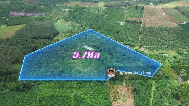 Bán 4.6ha đất gần trung tâm cách nhựa 100m khu dân cư