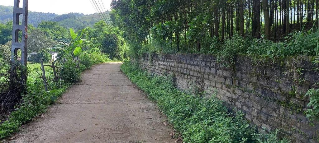 Bán đất đẹp mặt đường rộng 70m tại cao phong, hòa bình (nay là phú thọ)