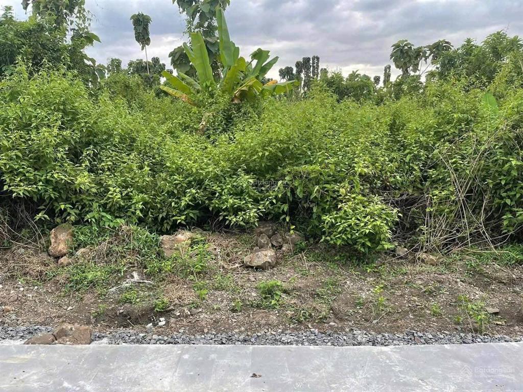 Hạ giá cần bán gấp lô đất định quán đường bê tông