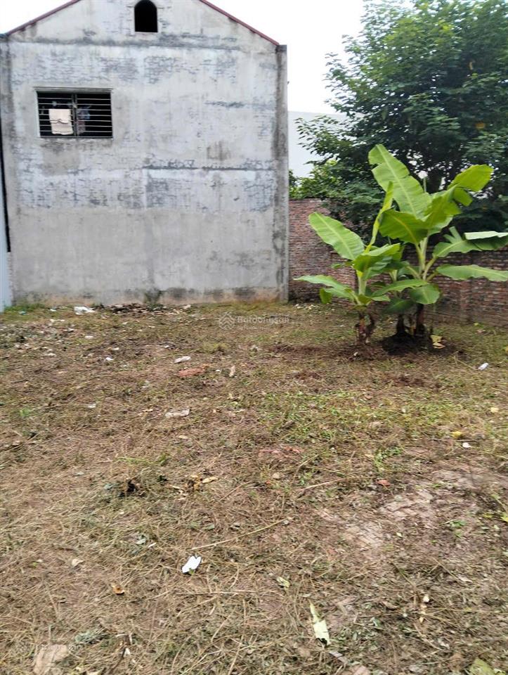 Bán đất tại phúc thọ, mai lâm, đông anh, 63 triệu/m2, diện tích 215m2, giá cực chất đẹp