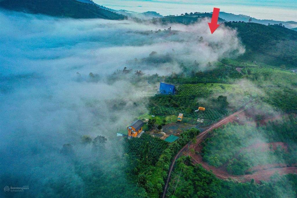 Bán lô đất 750m² có thổ cư view săn mây đồi bát úp, phù hợp làm homestay cách bảo lộc 20 phút