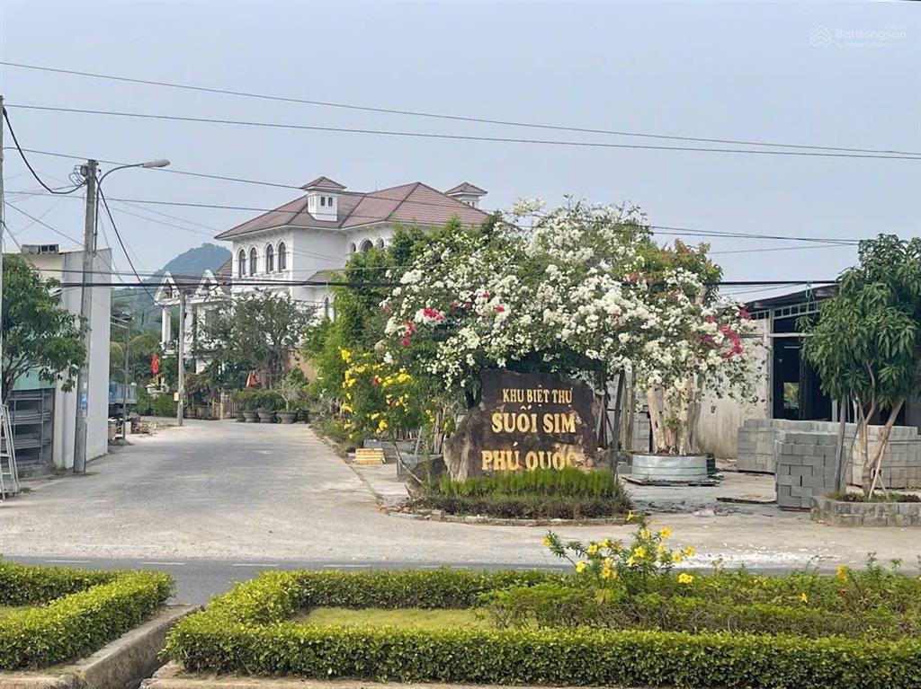 Bán đất biệt thự khu phố cây thông ngoài 216m2 hàng hiếm giá tốt chỉ 2.55 tỷ