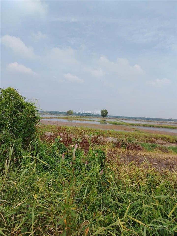 Tây ninh 22 tỷ mt ql22b. 6000m2 mt suối 1814.6m2 thổ cư. ngang 35x60m. tiện xây nhà xưởng chdv