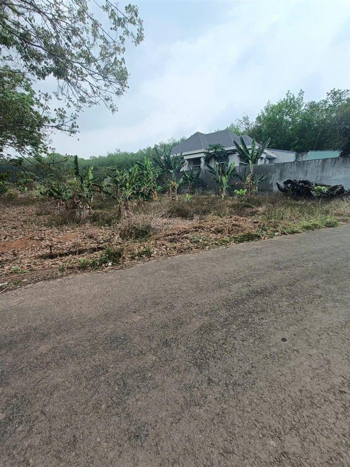 Ra nhanh lô đất nằm ngay trục chính của kcn tân tiến thành phương. ngang 7m 339m2, giá chỉ 385tr