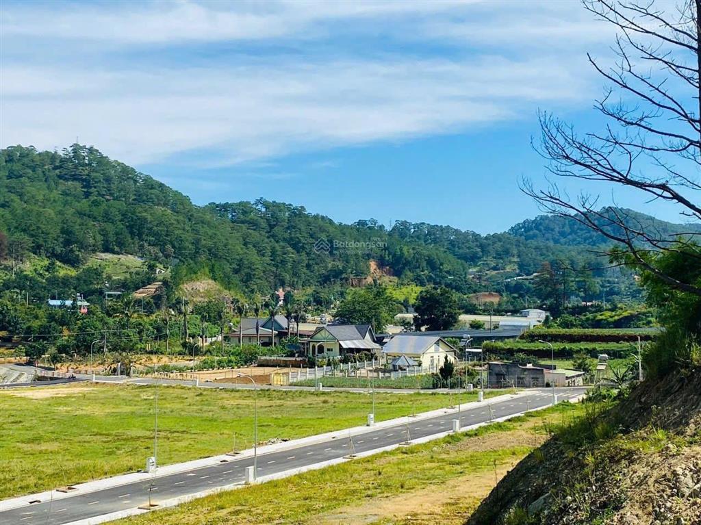 Đất giáp rừng thông view rừng thông dưới chân đèo prenn mr chí thiện bđs
