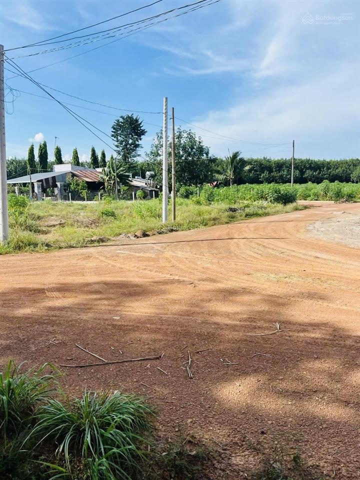 2487m2 đất thành phố hồ chí minh chỉ 502.6 nghìn/m2