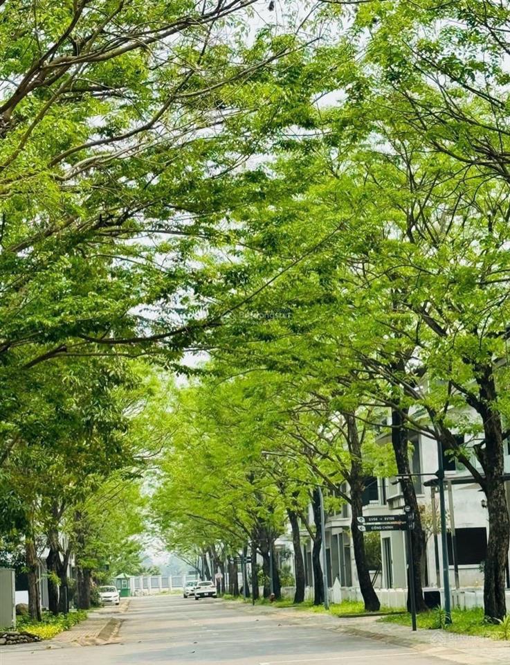 Bán biệt thự đơn lập vườn tùng ecopark biệt thự ecopark 420 m2 vị trí đẹp full nội thất thêm 80m2