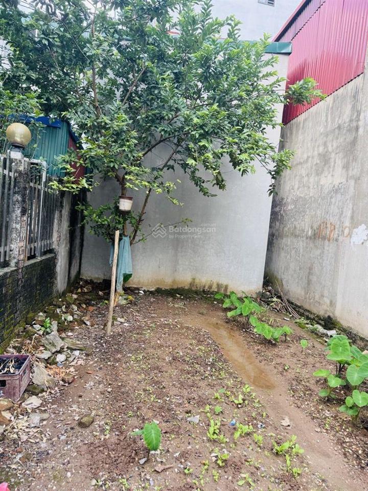 Nhỉnh 4 tỷ lô góc 40m2 ô tô vào nhà gần chợ, trường học cấp 1, 2, 3, gần tòa rubi. khu vực còn 1 lô