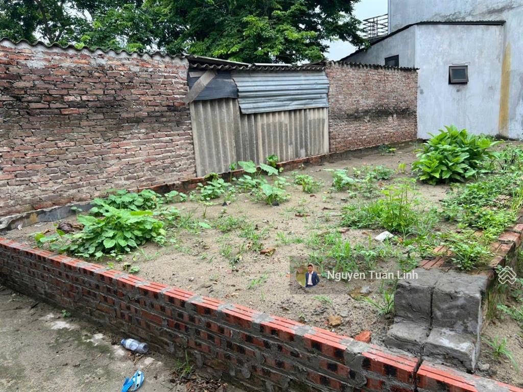 Tìm đâu ra! bán 52m² mạnh tân, thụy lâm sát phố thư lâm, khu đấu giá