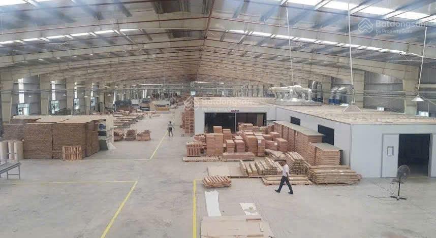 Xưởng 9850m2 chỉ 97 tỷ nguyễn hữu trí, bến lức, long an 52x200m, có hđt 500 triệu/tháng