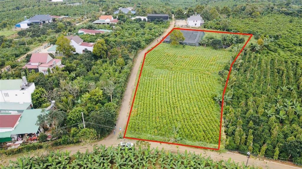 Lô tại bảo lâm 2. vị trí sát bên khu chợ mới lộc đức bảo lâm 2 mới (750tr)